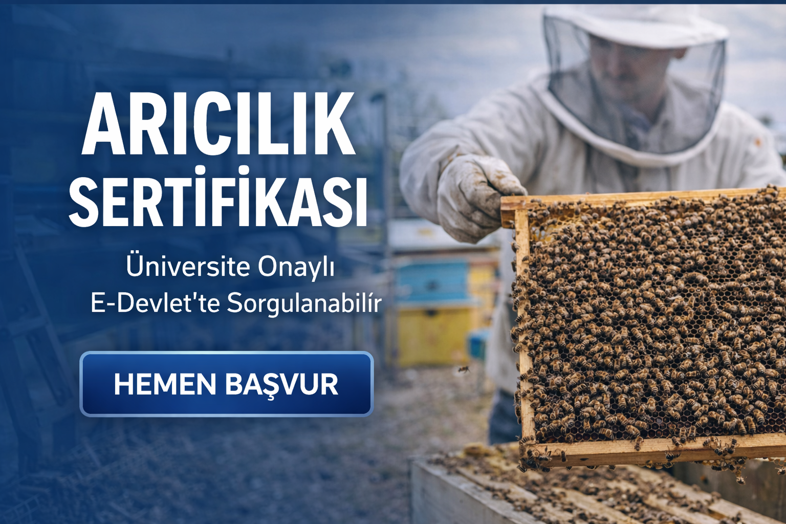 Arıcılık Sertifikası Eğitimi